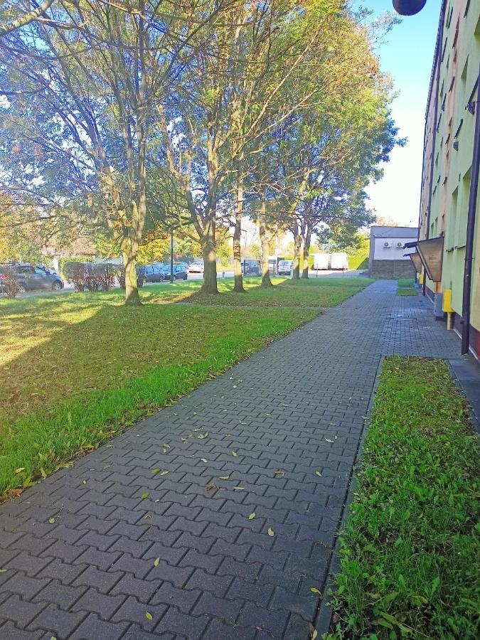 Apartament Zabrze Grzybowska Eksteriør bilde